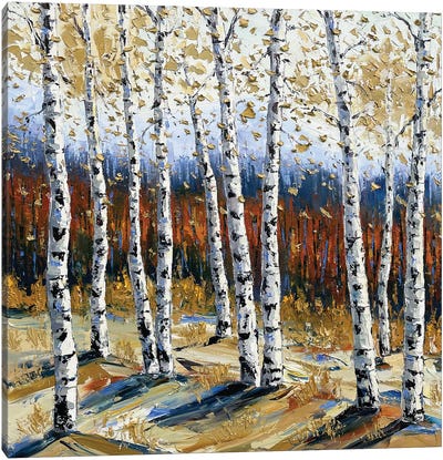 Interlude Canvas Art Print - Aspen and Birch Trees