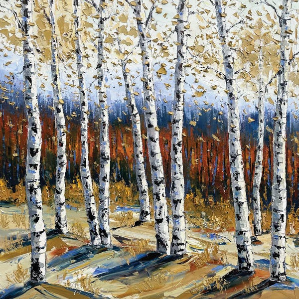 Aspen Trees | Birch Trees: Interlude by Lisa Elley