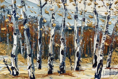 Sierra Birch Fall by Lisa Elley framed canvas print