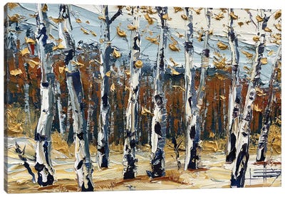 Sierra Birch Fall Canvas Art Print - Intense Impressionism