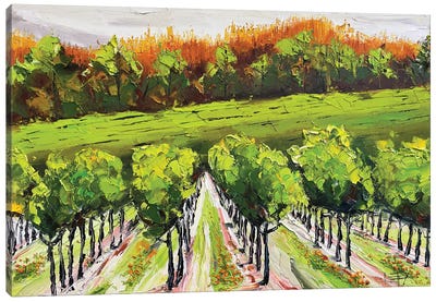 Autumn In Napa Canvas Art Print - Vineyard Art