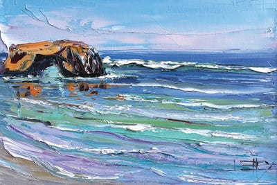 Natural Bridges by Lisa Elley canvas print