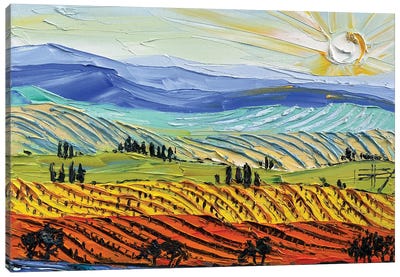 Layers of Napa Canvas Art Print - Napa Valley