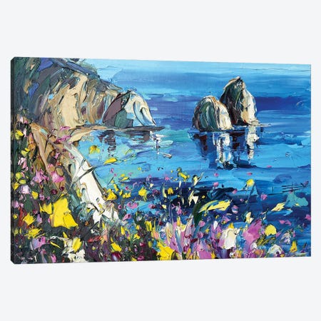 California Cove Canvas Print #LEL327} by Lisa Elley Canvas Art