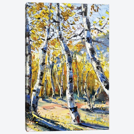 Sierra Fall Canvas Print #LEL329} by Lisa Elley Canvas Art Print