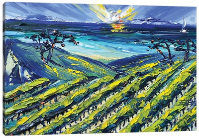 A Winery In Santa Barbara Canvas Art Print - Vineyard Art