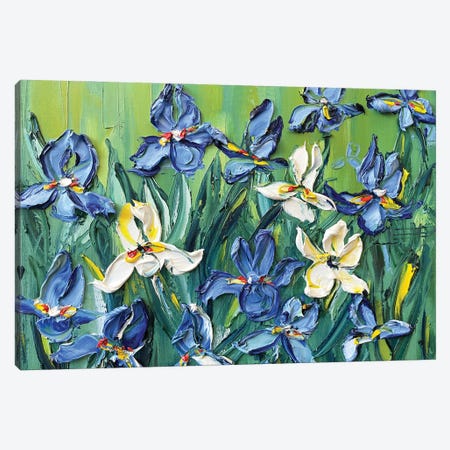 Irises To Gogh Canvas Print #LEL336} by Lisa Elley Art Print