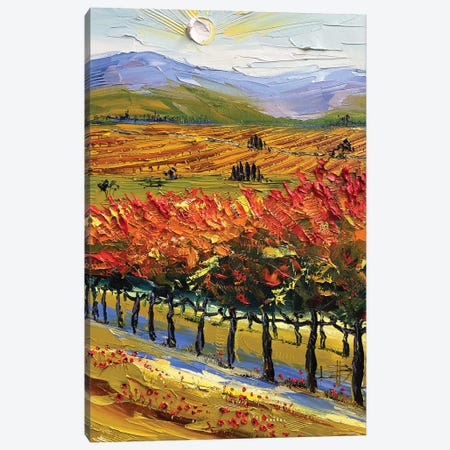 Gogh To Napa Valley Canvas Print #LEL345} by Lisa Elley Canvas Wall Art