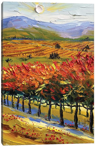 Gogh To Napa Valley Canvas Art Print - Lisa Elley