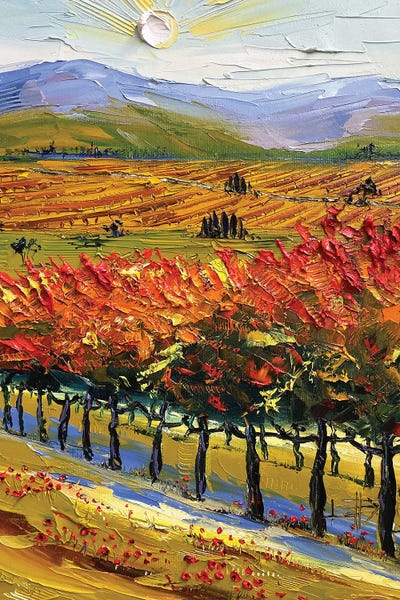 Valleys: Gogh To Napa Valley by Lisa Elley