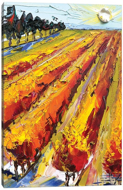 Napa Valley Wine Song Canvas Art Print - Vineyard Art