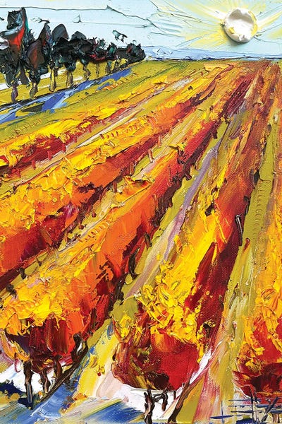 Vineyards: Napa Valley Wine Song by Lisa Elley