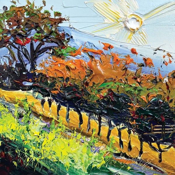 Vineyards: A Day In Carmel by Lisa Elley