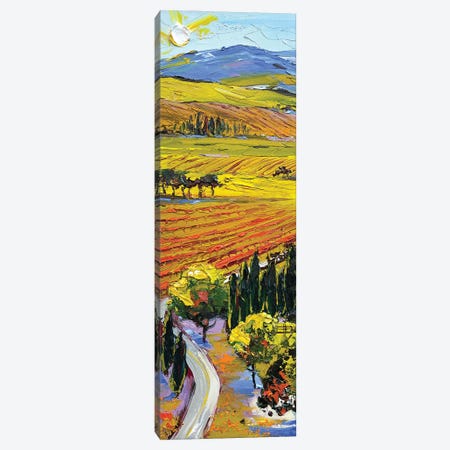 Road To The Winery Canvas Print #LEL350} by Lisa Elley Canvas Wall Art