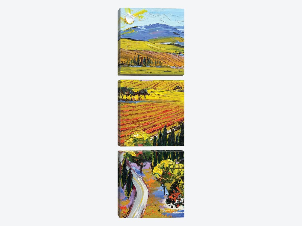 Road To The Winery by Lisa Elley 3-piece Canvas Wall Art