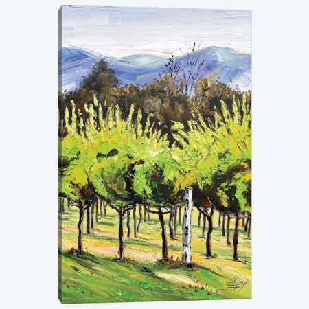 Spring At The Winery Canvas Print #LEL352} by Lisa Elley Canvas Art