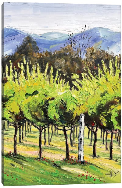 Spring At The Winery Canvas Art Print - Vineyard Art