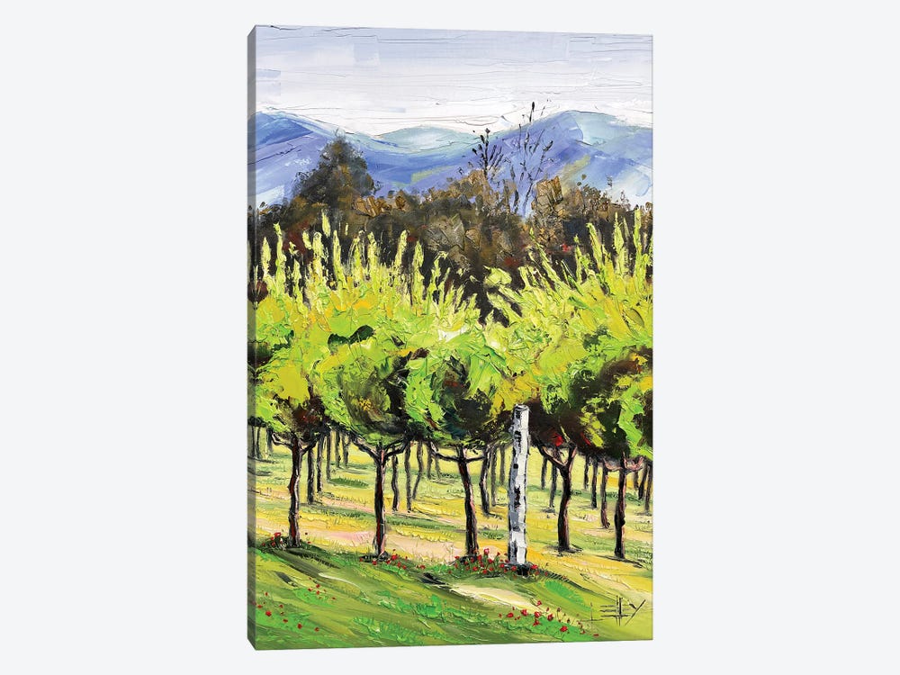 Spring At The Winery by Lisa Elley 1-piece Canvas Art