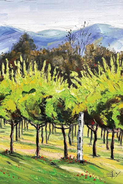 Vineyards: Spring At The Winery by Lisa Elley