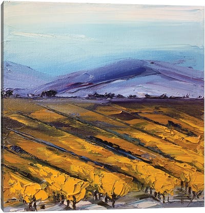 Napa Valley Canvas Art Print - Vineyard Art