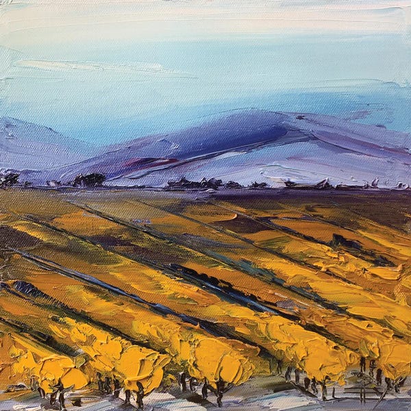 Vineyards: Napa Valley by Lisa Elley