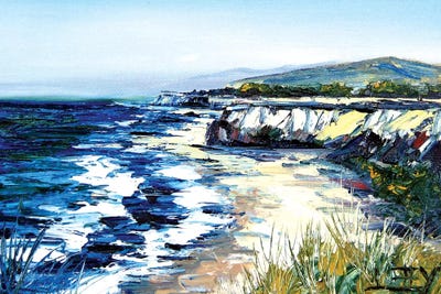 California Cliffs by Lisa Elley canvas print