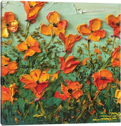Poppy Bloom Canvas Art Print - Lisa Elley