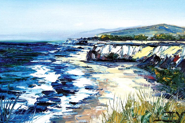 California Cliffs by Lisa Elley wall art
