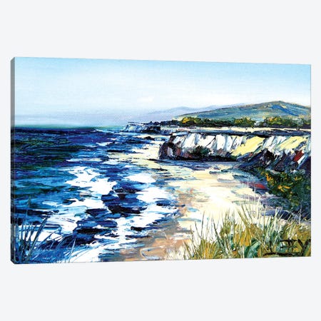 California Cliffs Canvas Print #LEL36} by Lisa Elley Canvas Wall Art