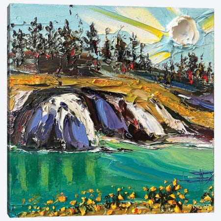 Van Gogh's Vista Canvas Print #LEL372} by Lisa Elley Canvas Wall Art