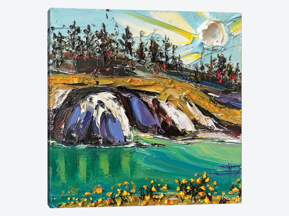 Van Gogh's Vista by Lisa Elley 1-piece Canvas Wall Art