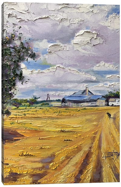 Golden Farm Canvas Art Print - Lisa Elley