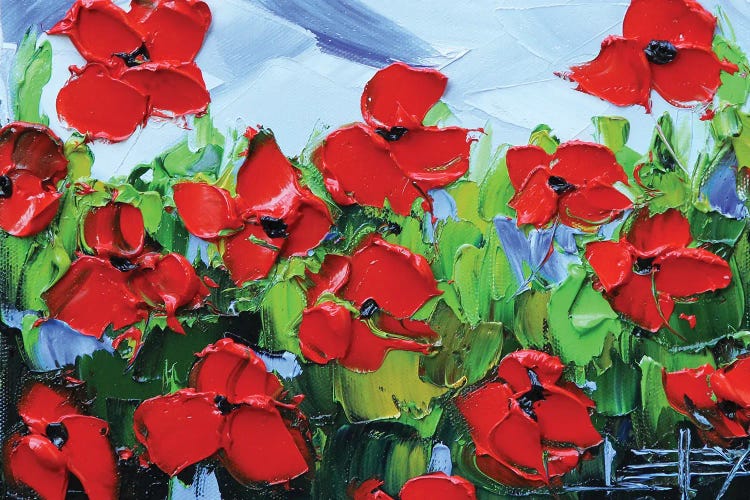 Red Poppies II