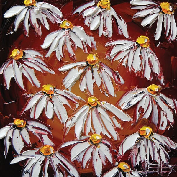 Daisies: White Daisies by Lisa Elley