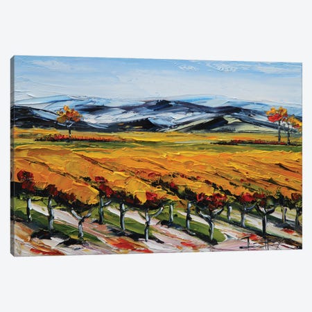 Napa Valley View Canvas Print #LEL404} by Lisa Elley Canvas Print