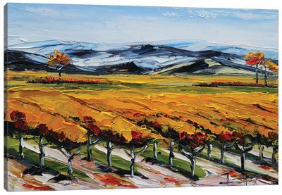 Napa Valley View Canvas Art Print - Vineyard Art