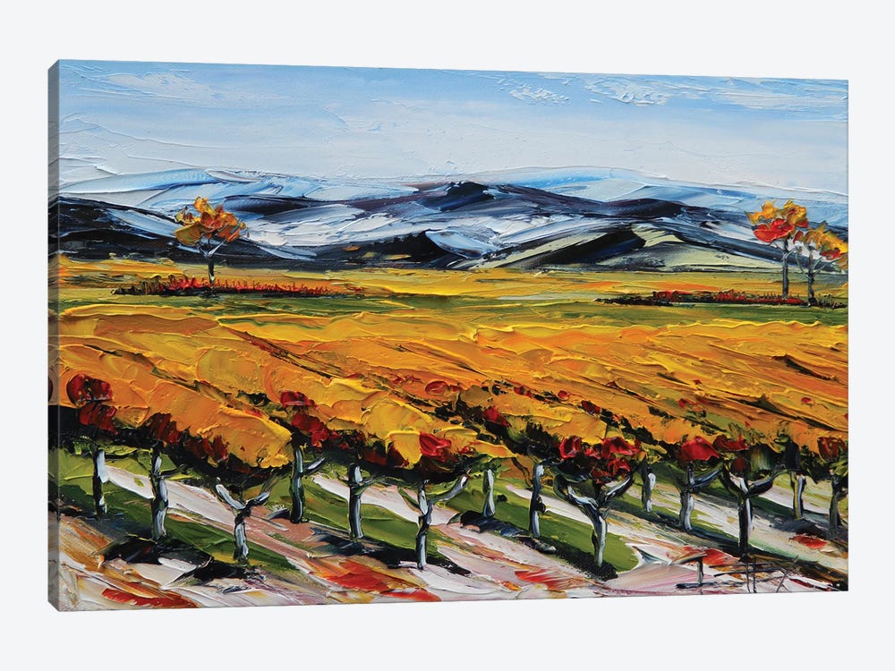 Napa Valley View by Lisa Elley 1-piece Canvas Wall Art