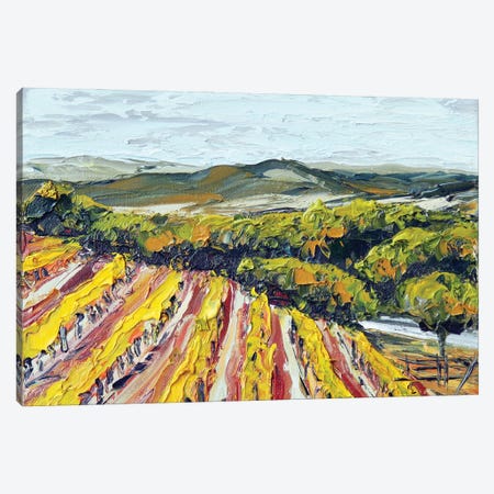 Saxum Vineyard Paso Robles Canvas Print #LEL407} by Lisa Elley Canvas Print