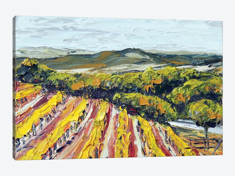 Saxum Vineyard Paso Robles by Lisa Elley 1-piece Canvas Print