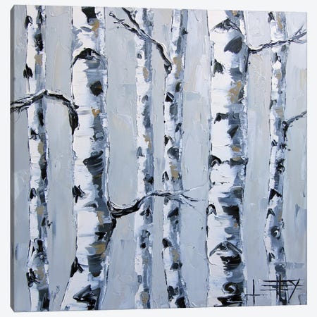Silver Birch Tree Trunks Canvas Print #LEL410} by Lisa Elley Canvas Print