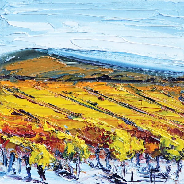 Napa Valley: Napa Vines by Lisa Elley