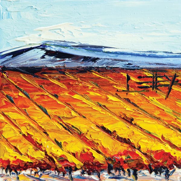 Napa Valley: Napa Fall by Lisa Elley