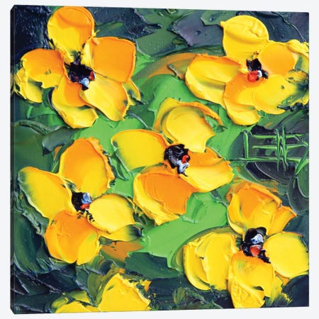 California Poppies Canvas Print #LEL413} by Lisa Elley Canvas Print