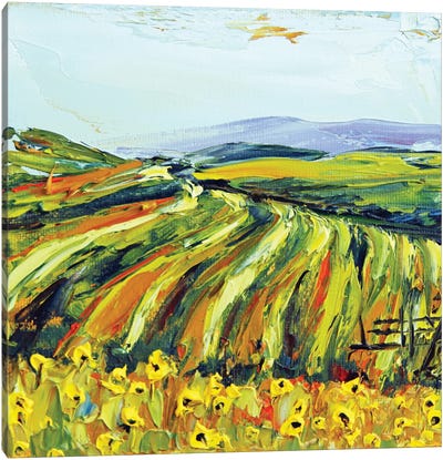 Saxum Vineyard Paso Robles With California Poppies Canvas Art Print - Lisa Elley