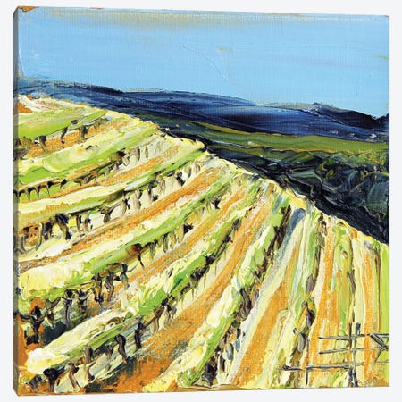 Saxum Vineyard Paso Robles In The Fall Canvas Print #LEL417} by Lisa Elley Canvas Art