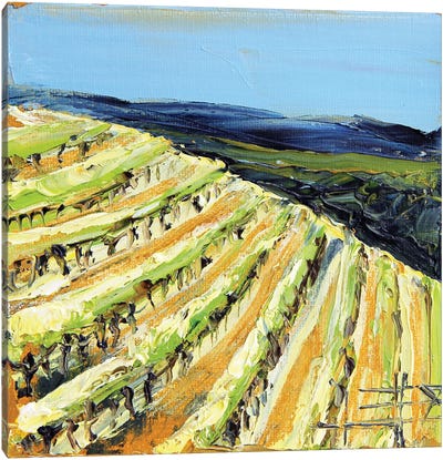 Saxum Vineyard Paso Robles In The Fall Canvas Art Print - Vineyard Art