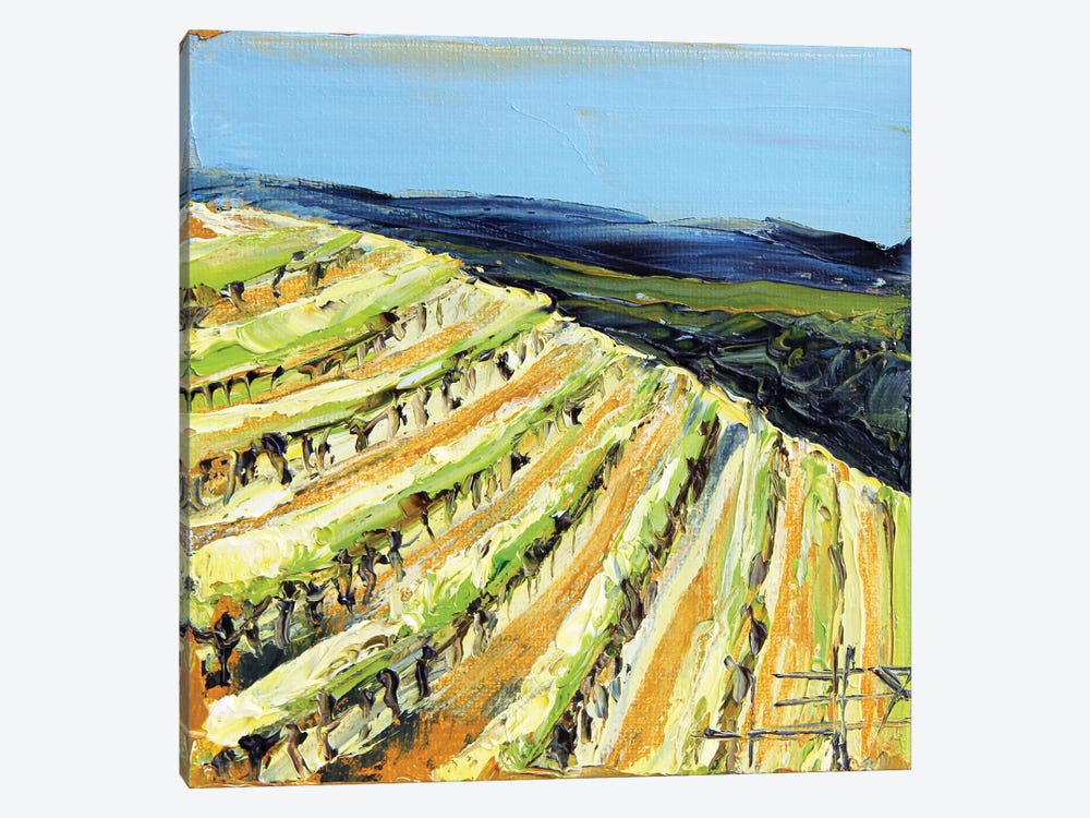 Saxum Vineyard Paso Robles In The Fall by Lisa Elley 1-piece Canvas Art