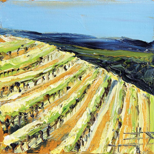 Vineyards: Saxum Vineyard Paso Robles In The Fall by Lisa Elley