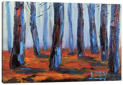 Redwood Trees In Big Basin State Park, San Francisco Bay California Canvas Art Print - Redwood Tree Art