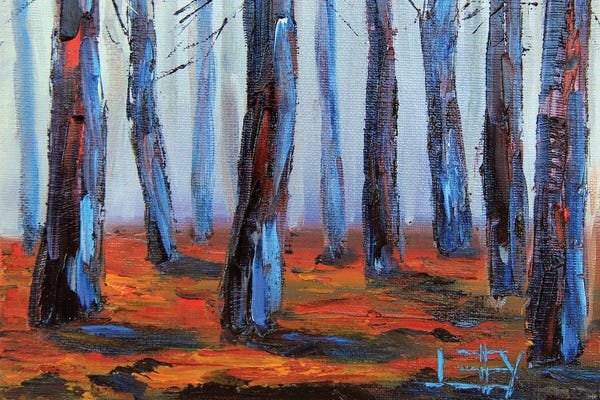 Redwood Trees: Redwood Trees In Big Basin State Park, San Francisco Bay California by Lisa Elley